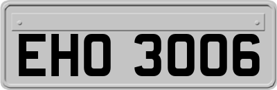 EHO3006