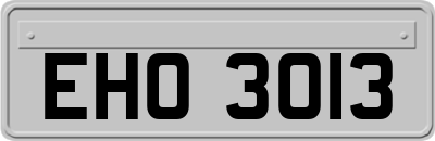 EHO3013