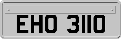 EHO3110