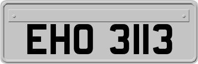 EHO3113