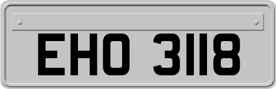 EHO3118