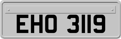 EHO3119