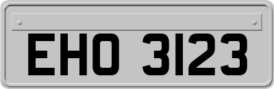 EHO3123