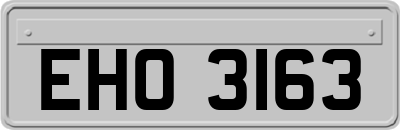 EHO3163