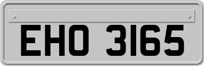 EHO3165