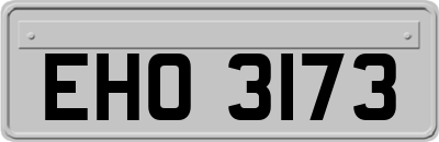 EHO3173