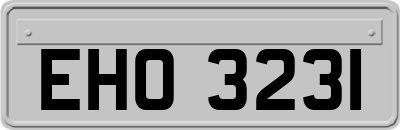 EHO3231