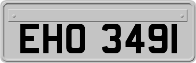 EHO3491