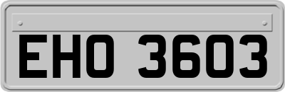 EHO3603