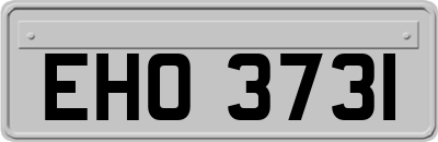 EHO3731