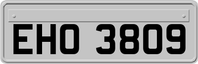 EHO3809