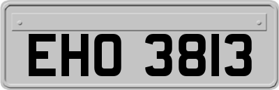 EHO3813