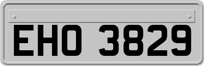 EHO3829