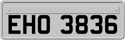 EHO3836
