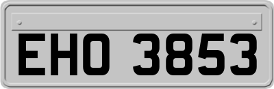 EHO3853
