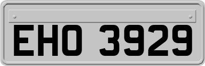 EHO3929