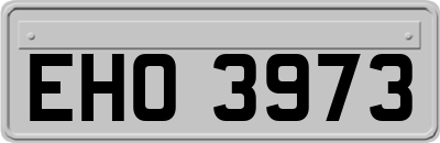 EHO3973
