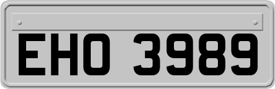 EHO3989