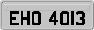 EHO4013