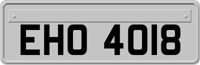 EHO4018