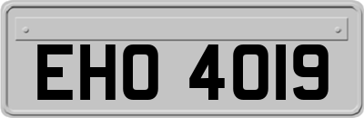 EHO4019