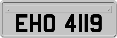 EHO4119