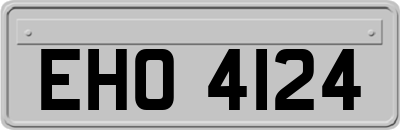 EHO4124