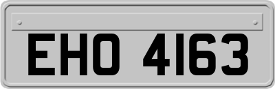 EHO4163
