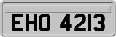 EHO4213