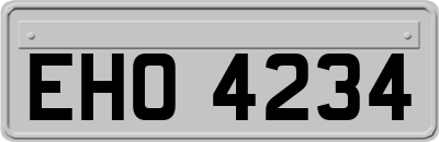 EHO4234