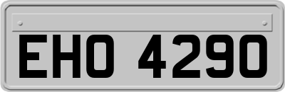EHO4290