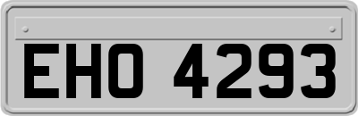 EHO4293