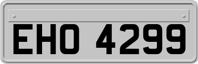EHO4299
