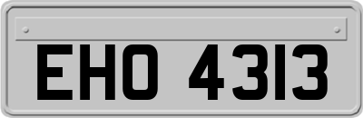 EHO4313