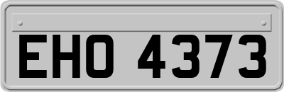 EHO4373