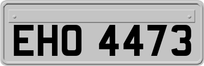 EHO4473
