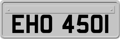 EHO4501