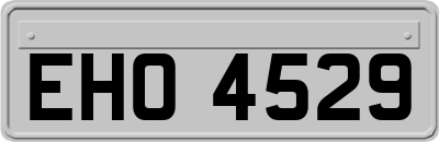 EHO4529