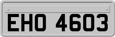 EHO4603