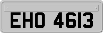 EHO4613
