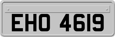 EHO4619
