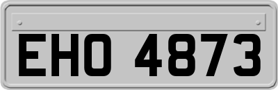 EHO4873