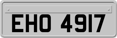 EHO4917
