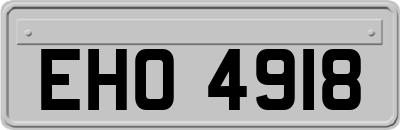 EHO4918