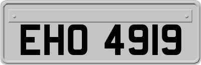 EHO4919