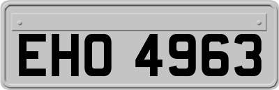 EHO4963