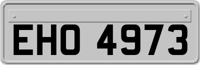 EHO4973