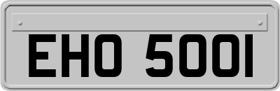 EHO5001