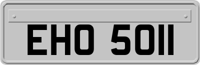 EHO5011