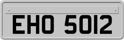 EHO5012